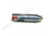 Screw