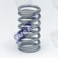 VALVE SPRING