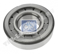 530138 DIESEL TECHNIC