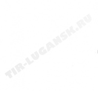 271163 DIESEL TECHNIC