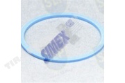 FREEZE PLUG GASKET