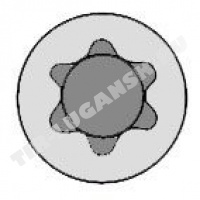 143206701 VICTOR REINZ