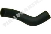 TRANSFER HOSE