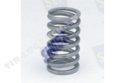 VALVE SPRING