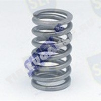 VALVE SPRING