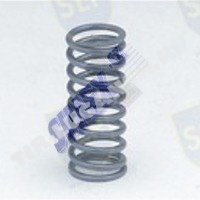 VALVE SPRING