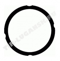 612547520 VICTOR REINZ