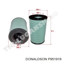 P951919 Donaldson