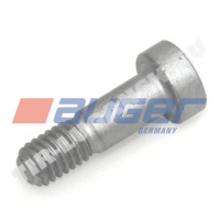 Болт суппорта М6*1*20