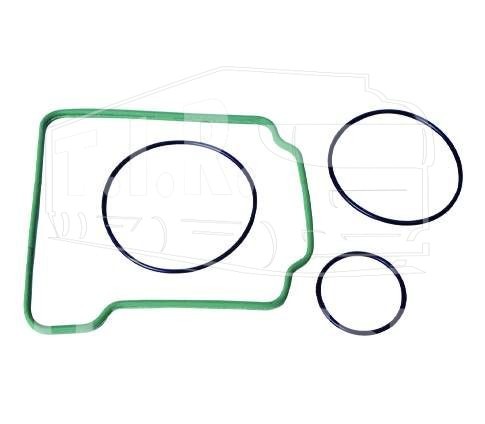 BK2843621SP, REPAIR KIT (Q SILICONE) — Bergkraft