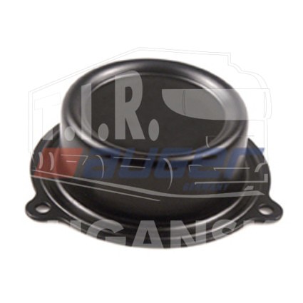 AUG54345, Hub Cap — Auger