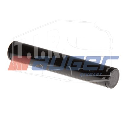 AUG54135, Pin — Auger