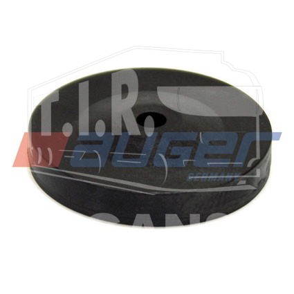 AUG59041, Plastic  Bearing — Auger
