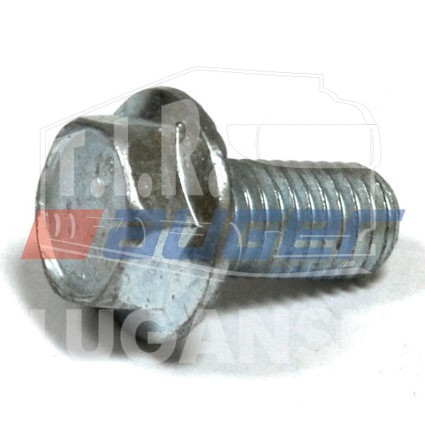 AUG59273, Screw — Auger