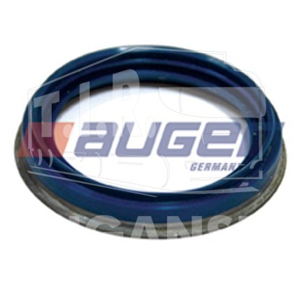 AUG54861, Seal Ring — Auger