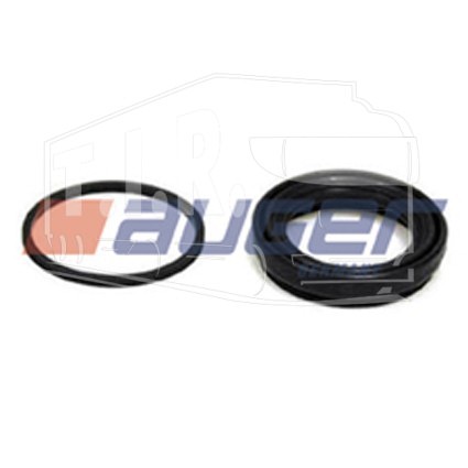 AUG55810, Caliper Rep.Kit — Auger