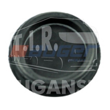 AUG65319, Rubber Plug, Brake Dust Cover — Auger
