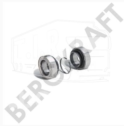 BK7700617, К-т подшипников зад — Bergkraft