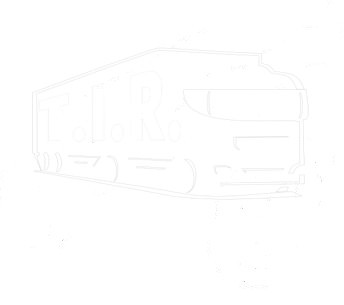 95531147, Вал первичный 29Т — Euroricambi
