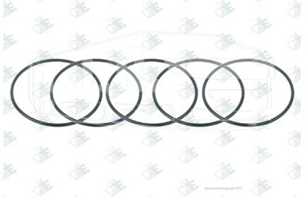 95531553, Кольцо уплотнительное 80*3 — Euroricambi