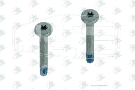 95536813, Винты торекс М6*45 — Euroricambi