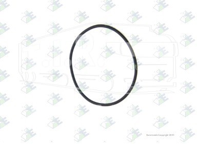 95532574, Кольцо уплотнительное 80*3 — Euroricambi