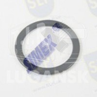 EPL-079, Прокладка маслозаливной горловины — SLP