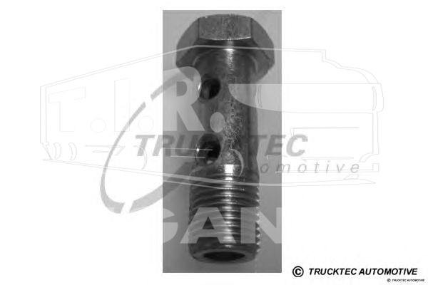 79.10.002, Болт переливной М8*1.0 30/8,5 — Trucktec