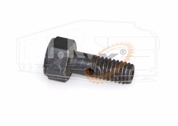 ZX10.1987, Болт обратки M6*15.5 — ZeTeX