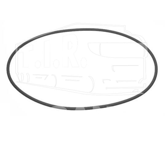 09923, Кольцо резиновое ступицы 249.2x5.7 — Febi