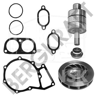 BK3257722WP, Р-к помпы — Bergkraft