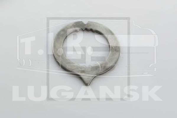 036.175-00A, Пластина индикаторная на трещотку — Peters