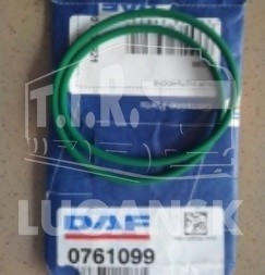 0761099, Кольцо уплотнительное ТННД — DAF