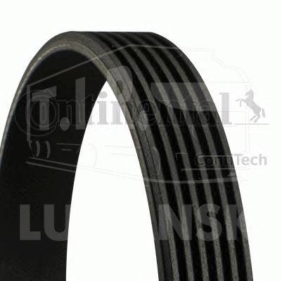 6PK1020, Ремень генератора 6PK1020 — ContiTech