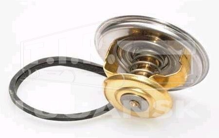 Термостат 79С
