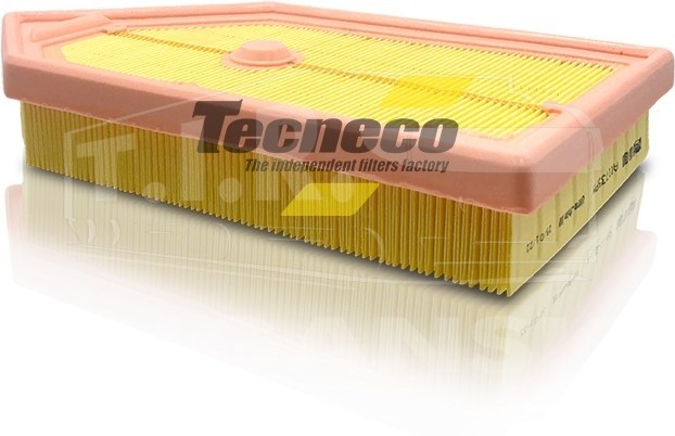 AR1735PM, Фильтр воздушный — TECNECO