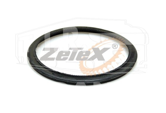 ZX13.0363, SEAL RING,WHEEL HUB — ZeTeX