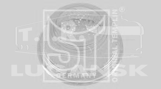 01.090.7500.030, Рассеиватель, стояночный огонь — Templin