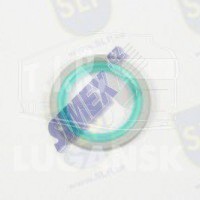 BR-253, RUBBER BONDED WASHER — SLP