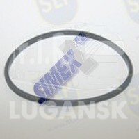 CLT-067, SEALING RING — SLP