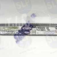 CS-014, CONV. GASKET SET — SLP