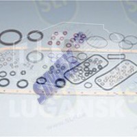 CS-774, CONV. GASKET SET — SLP