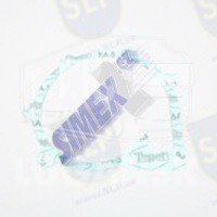EPL-027, GASKET — SLP