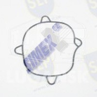 EPL-2252, SEALING RING — SLP