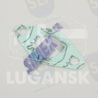 EPL-2602, GASKET — SLP
