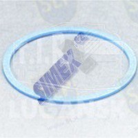 EPL-328, FREEZE PLUG GASKET — SLP