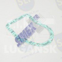 EPL-4489, GASKET — SLP