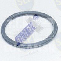 EPL-557, THERMOSTAT SEAL — SLP