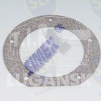 EPL-594, GASKET — SLP