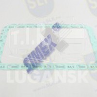 EPL-595, GASKET — SLP